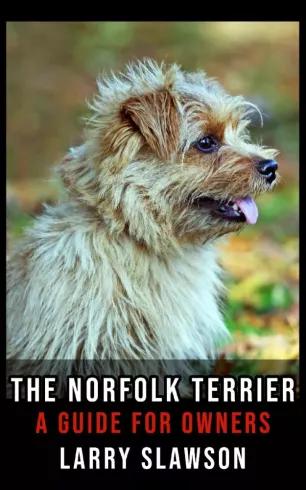 The Norfolk Terrier (e-könyv)