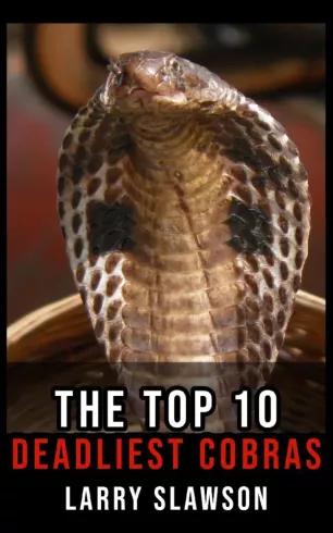 The Top 10 Deadliest Cobras (e-könyv)