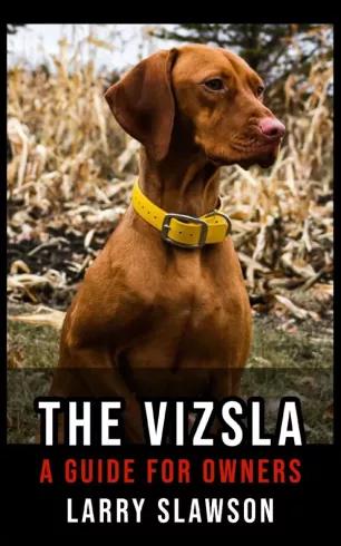 The Vizsla (e-könyv)