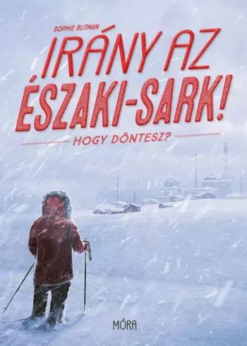 Irány az Északi-Sark (e-könyv)