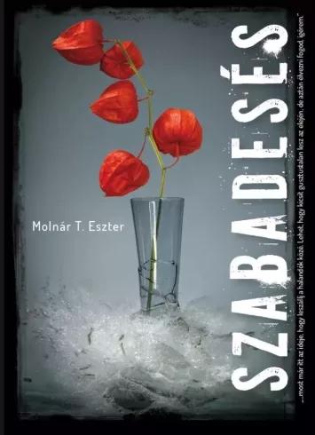 Szabadesés (e-könyv)