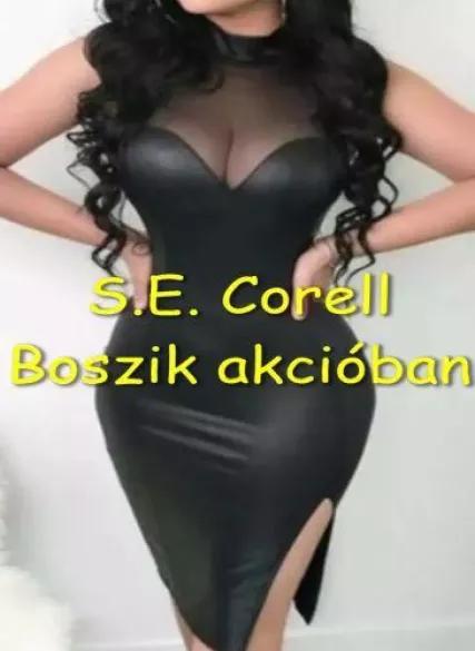 Boszik akcióban (e-könyv)