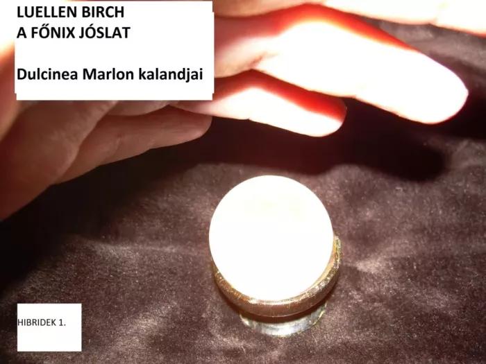 A Főnix Jóslat (e-könyv)