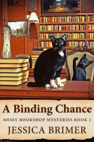 A Binding Chance (e-könyv)