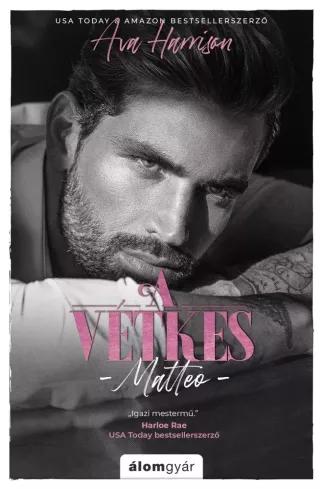 A vétkes (e-könyv)