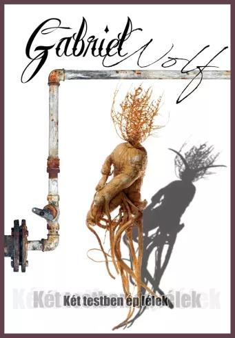 Két testben ép lélek (e-könyv)