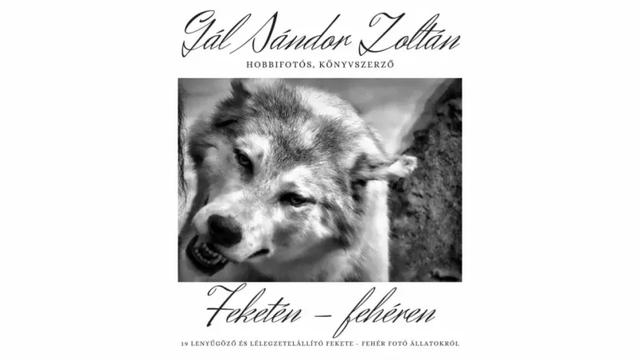 Feketén - fehéren (e-könyv)