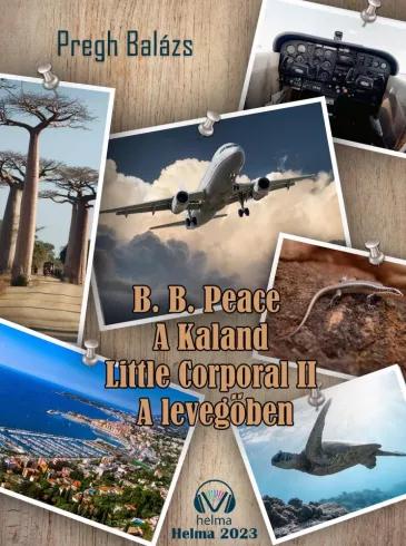 A levegőben (e-könyv)