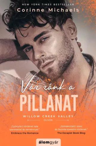 Vár ránk a pillanat (e-könyv)