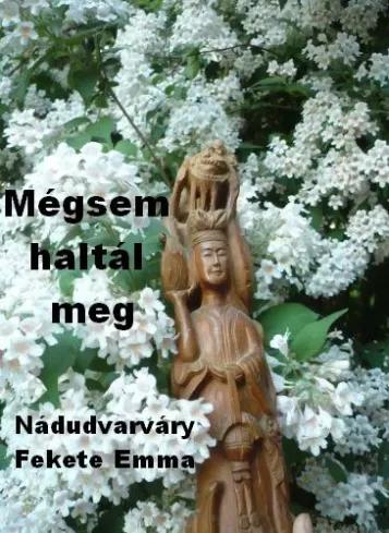 Mégsem haltál meg (e-könyv)