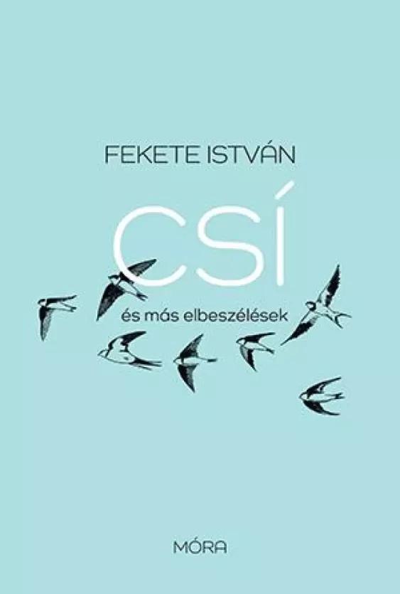 Csí és más elbeszélések (e-könyv)