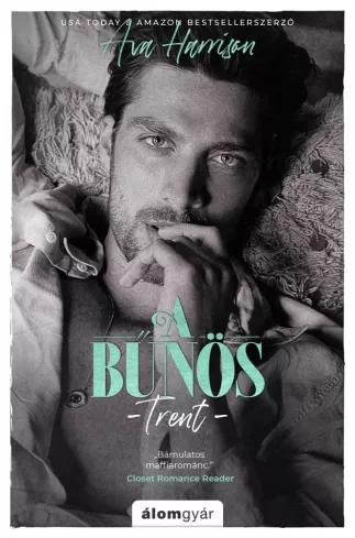 A ​bűnös (e-könyv)