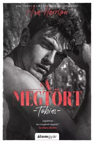 A megtört (e-könyv)