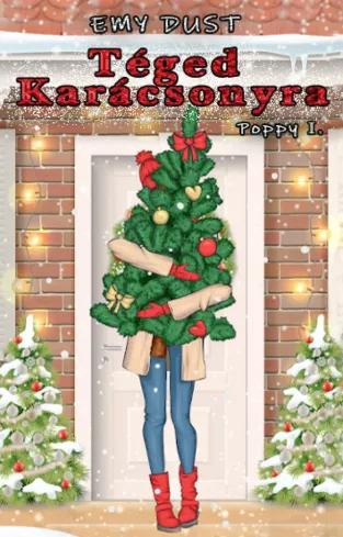 Téged karácsonyra (e-könyv)