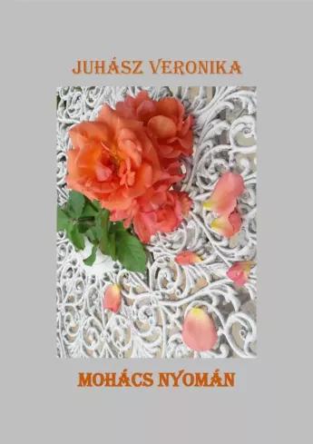 Mohács nyomán (e-könyv)