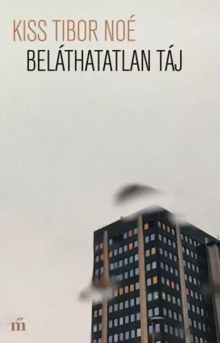 Beláthatatlan táj (e-könyv)