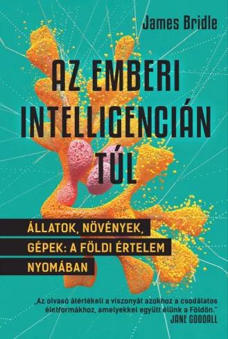 Az emberi intelligencián túl (e-könyv)