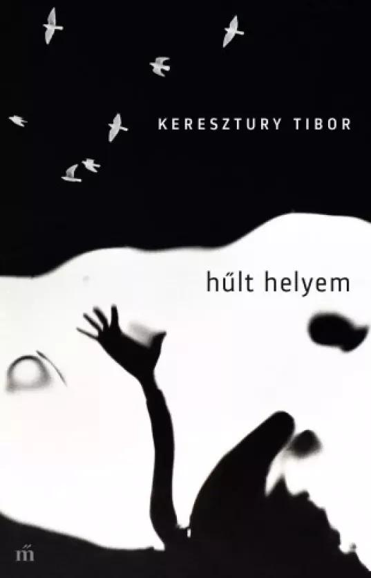 Hűlt helyem (e-könyv)