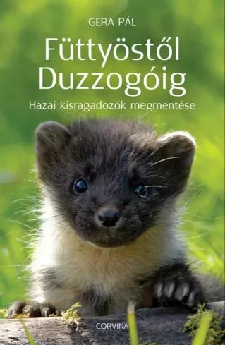 Füttyöstől Duzzogóig  (e-könyv)