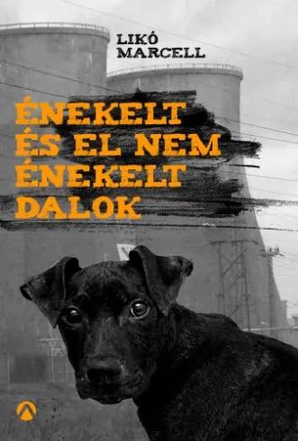 Énekelt és el nem énekelt dalok (e-könyv)