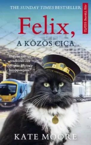 Felix, a közös cica (e-könyv)