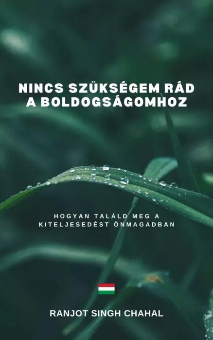 Nincs szükségem rád a boldogságomhoz (e-könyv)