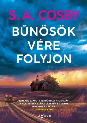 Bűnösök vére folyjon (e-könyv)