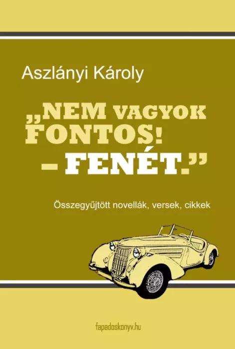 Nem vagyok fontos! Fenét... (e-könyv)