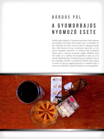 A gyomorbajos nyomozó esete (e-könyv)