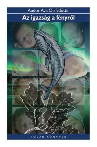 Az igazság a fényről (e-könyv)
