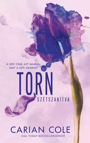 Torn - Szétszakítva (e-könyv)