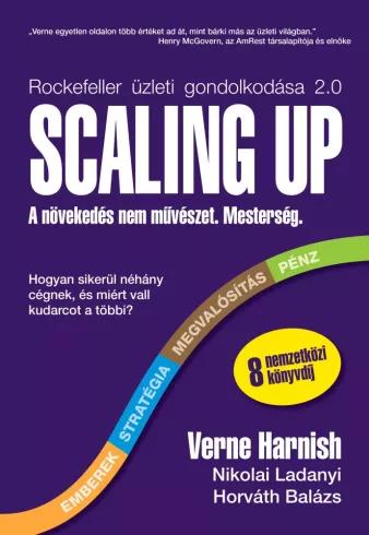 Scaling Up (e-könyv)