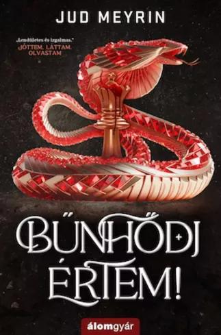 Bűnhődj értem! (e-könyv)