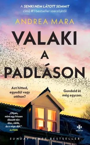 Valaki a padláson (e-könyv)