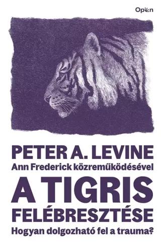 A tigris felébresztése (e-könyv)