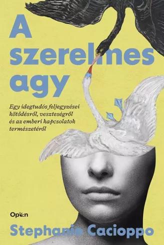 A szerelmes agy (e-könyv)
