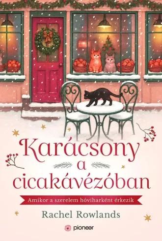 Karácsony a cicakávézóban (e-könyv)