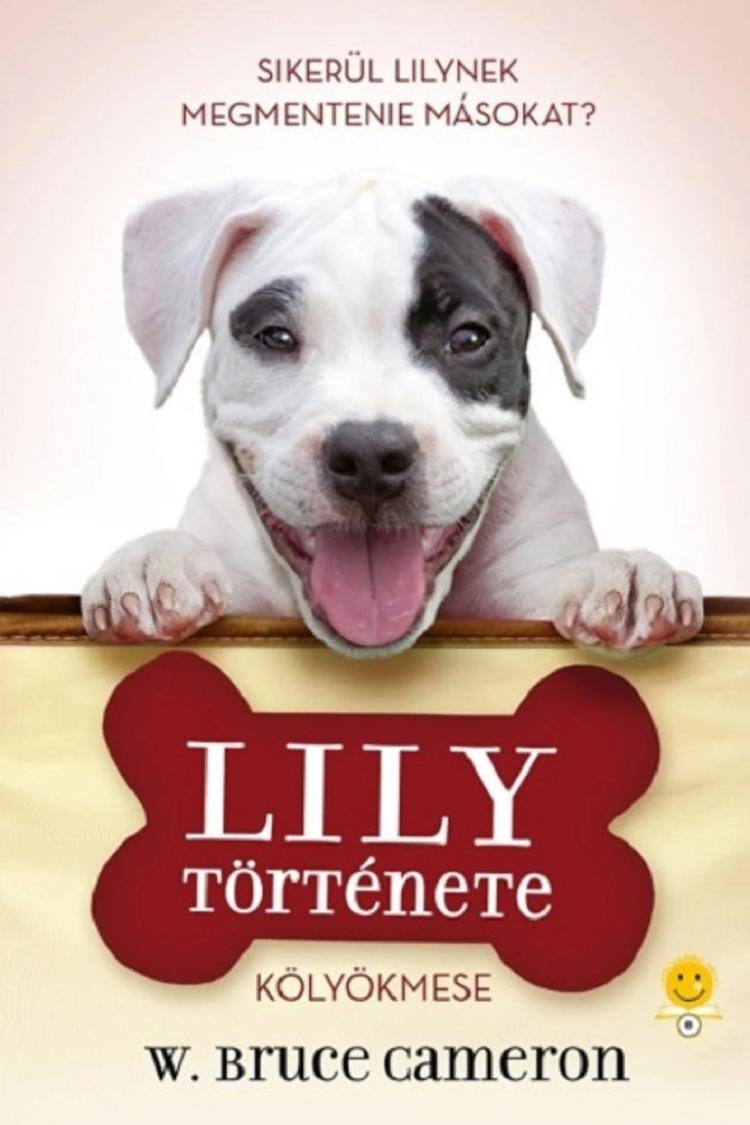 Lily története
