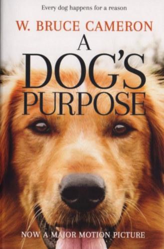 A dog's purpose - Every dog happens for a reason