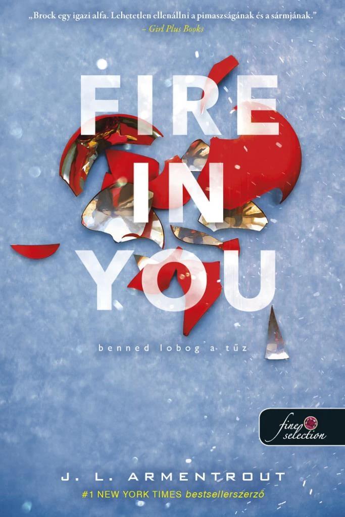 Fire In You - Benned lobog a tűz (Várok rád 6.) - új borító