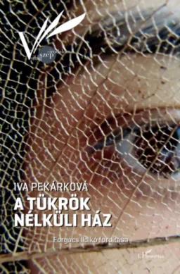 A tükrök nélküli ház